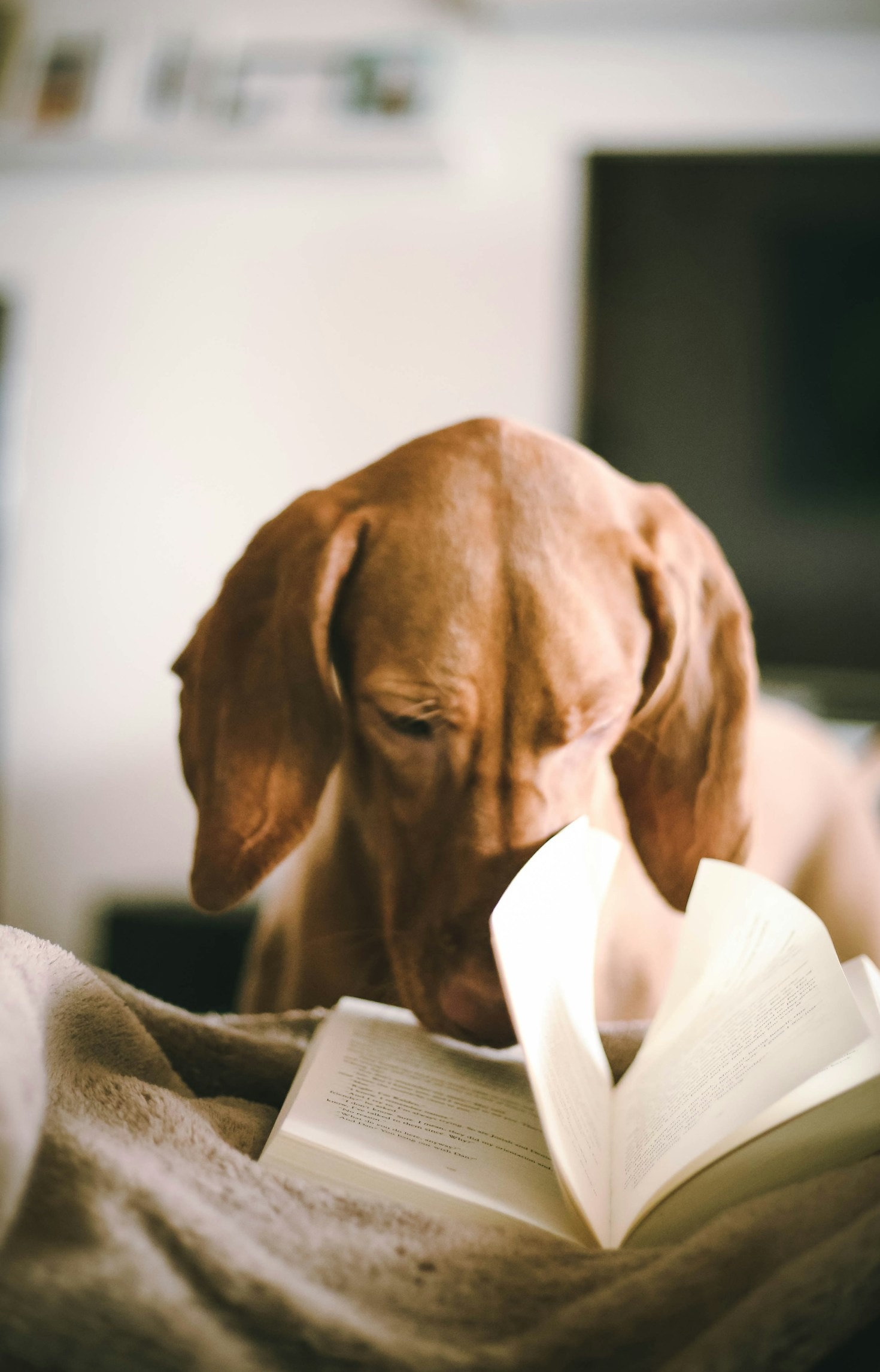 Why Adult Coloring Books Are Perfect for Relaxation